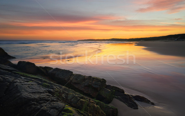 Latarni plaży pieczęć skał wygaśnięcia zachód słońca Zdjęcia stock © lovleah