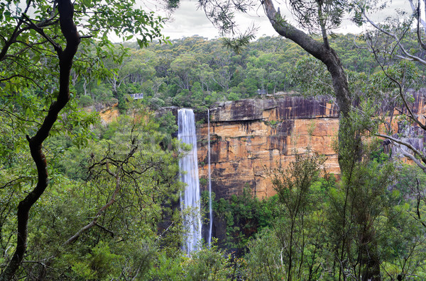 Australian bush view of Fitzory Falls Stock photo © lovleah