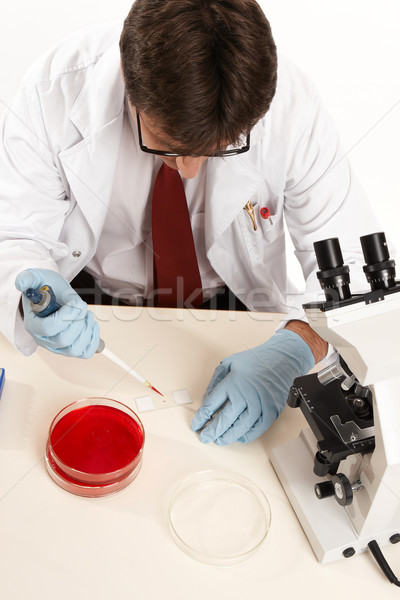 Scientist or researcher preparing a slide Stock photo © lovleah