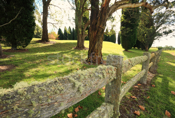 Lichen covered fence Stock photo © lovleah