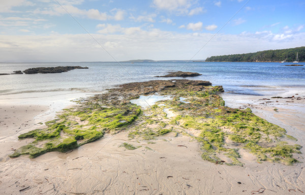 Musgo cubierto rocas rock brillante verde Foto stock © lovleah
