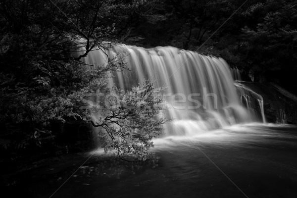 Kaskada wodospad niebieski góry piękna doliny Zdjęcia stock © lovleah