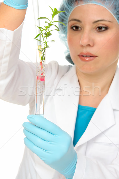Roślin nauki agronomia naukowiec rozwiązanie probówki Zdjęcia stock © lovleah