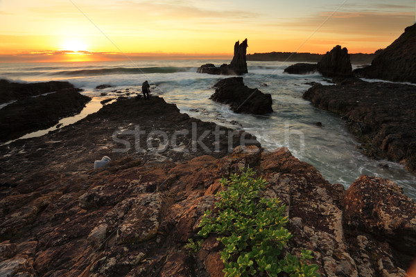 Cathedral Rock at Sunrise NSW Australia Stock photo © lovleah