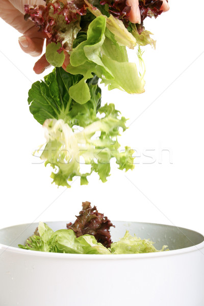 Stock photo: Tossed lettuce