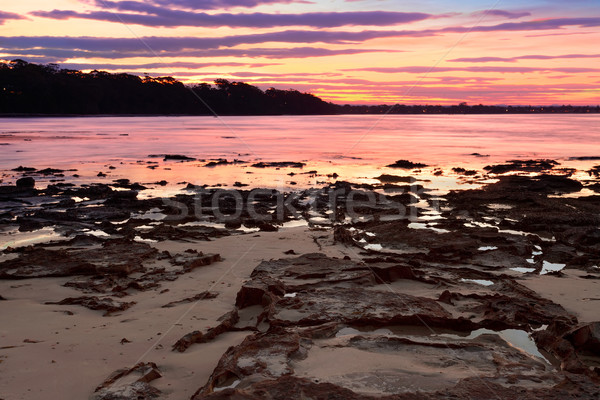Sunset at Plantation Point NSW Australia Stock photo © lovleah