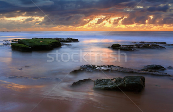 Zonsopgang strand bewolkt cool dag Sydney Stockfoto © lovleah