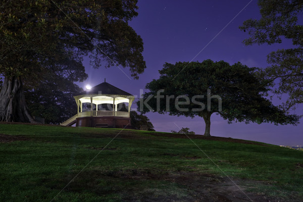 Heuvel Sydney maan achter gras sterren Stockfoto © lovleah