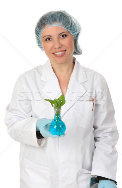 Agricol om de ştiinţă ştiinţă genetic modificare Imagine de stoc © lovleah