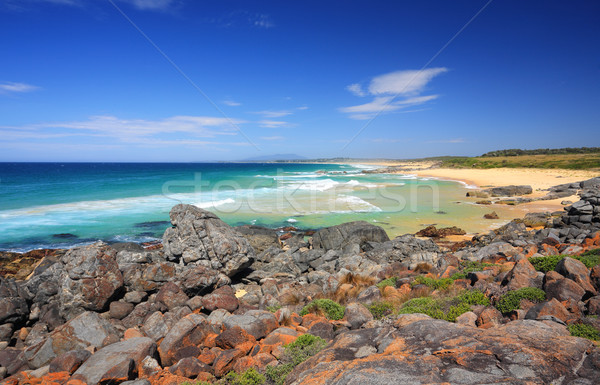 Plaży Australia piękna kolorowy pomarańczowy Zdjęcia stock © lovleah