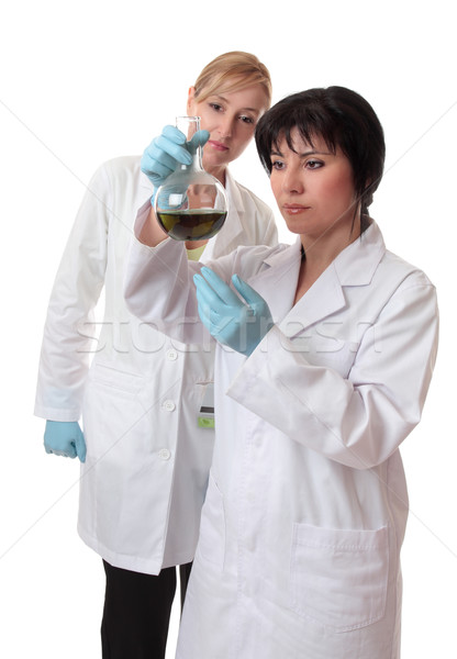 Scientific laboratory workers Stock photo © lovleah