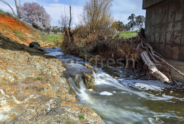 Mészkő patak kicsi kő kövek út Stock fotó © lovleah