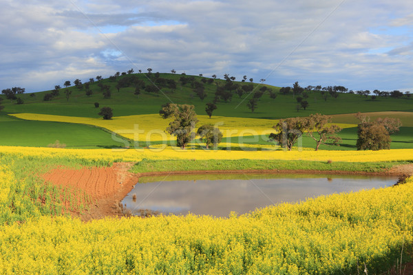 Scenic farmlands landscape Stock photo © lovleah