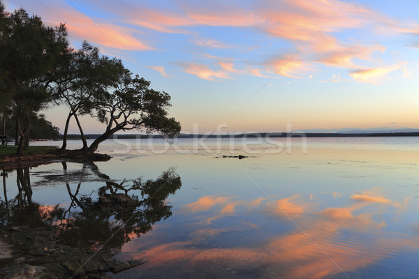Sunset reflections Stock photo © lovleah