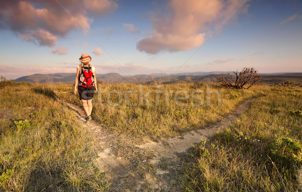 Female bushwalker hiking in the Blue Mountains Stock photo © lovleah