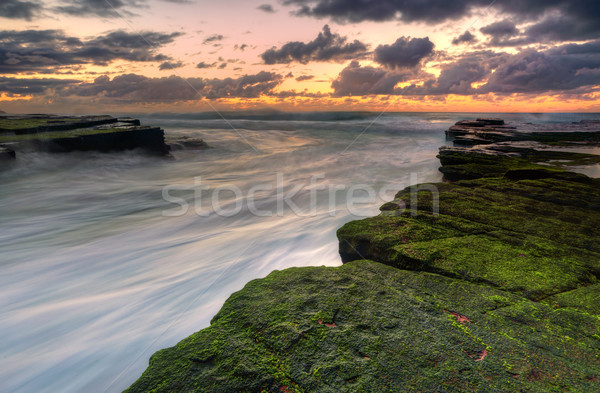 Ocean Flows at Turrimetta Stock photo © lovleah