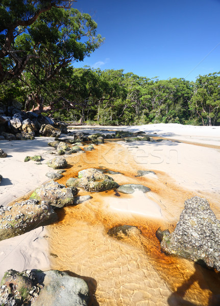 Enseada Austrália fora arbusto oceano Foto stock © lovleah