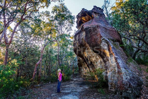 Park Wildnis blau Berge Australien Stock foto © lovleah