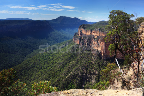 Grose Valley Blue Mountains Australia Stock photo © lovleah