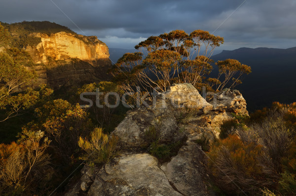 Blue Mountains Australia Stock photo © lovleah
