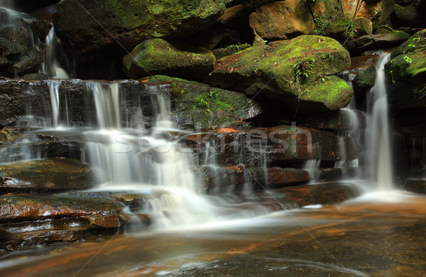 Australia agua musgo cubierto rocas cascada Foto stock © lovleah