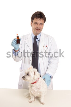Vet with pet and ointment Stock photo © lovleah