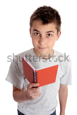 Child holding a book Stock photo © lovleah