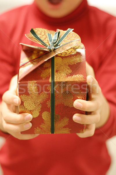 Christmas Giving Stock photo © lovleah