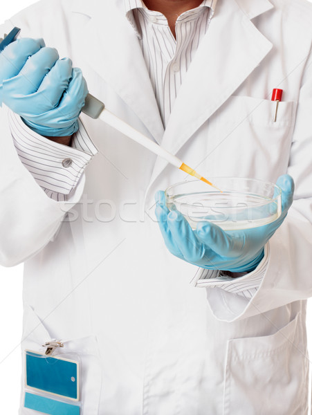 Clinique science médicaux légiste pharmaceutique chercheur [[stock_photo]] © lovleah