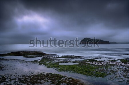 Argent perle plage brumeux nuageux matin Photo stock © lovleah