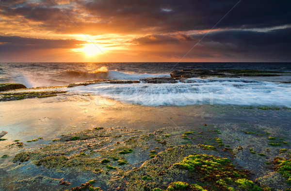 Faible marée nord lumineuses vert mousse [[stock_photo]] © lovleah