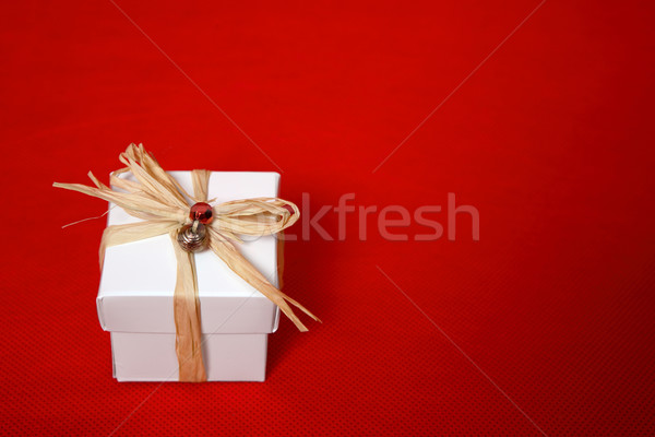 Christmas gift Stock photo © lovleah