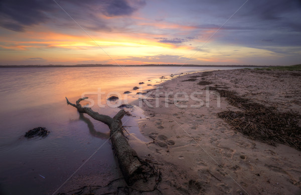 Sunset at Bonna Point NSW Australia Stock photo © lovleah