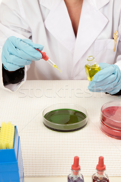Laboratory testing Stock photo © lovleah