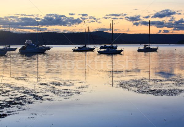 Boats moored at dusk Stock photo © lovleah