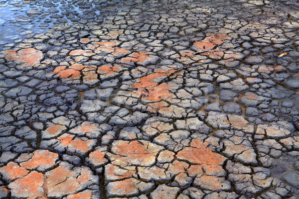 Stock photo: Druoght  Rain falls on dry parched cracked earth