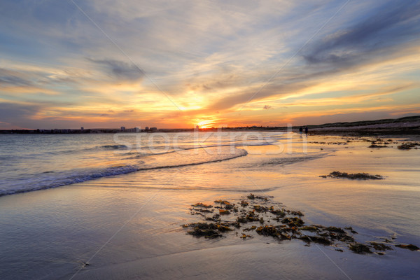 Foto stock: Pôr · do · sol · praia · Austrália · Sydney · movimento · reflexão