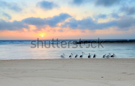 Foto stock: Nascer · do · sol · entrada · norte · Austrália · sol · para · cima