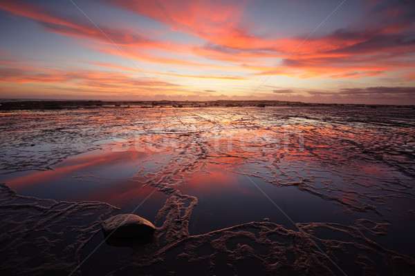 Sunrise over Long Reef at low tide with reflectins Stock photo © lovleah