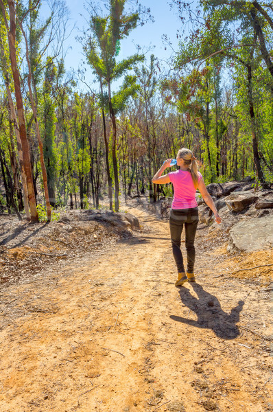 Hiking in regenerating bushland after fire Stock photo © lovleah