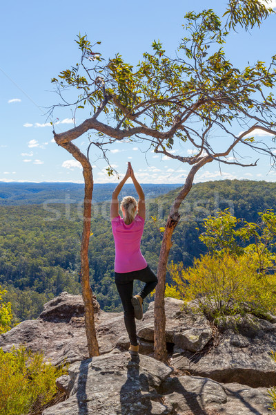 Female yoga asanas in mountain wilderness views Stock photo © lovleah