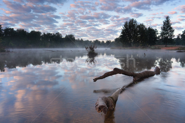 Misty réflexions brouillard au-dessus surface [[stock_photo]] © lovleah