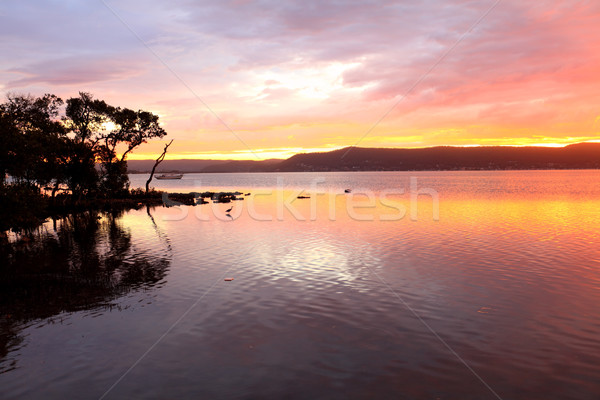 Pôr do sol brisbane distância verde ponto Austrália Foto stock © lovleah
