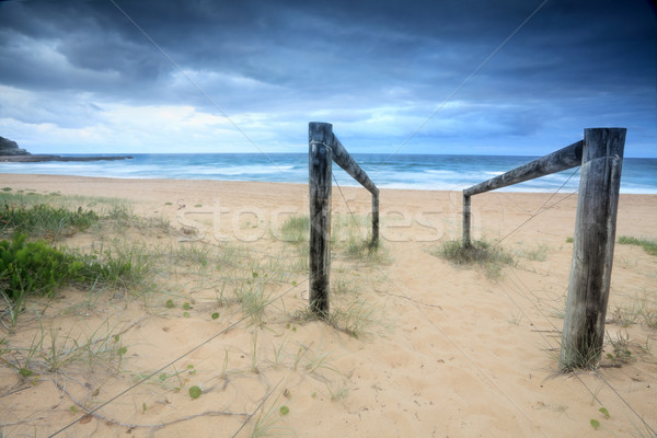 Old path to beach Stock photo © lovleah