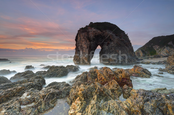Horse Head Rock, Bermagui Australia Stock photo © lovleah