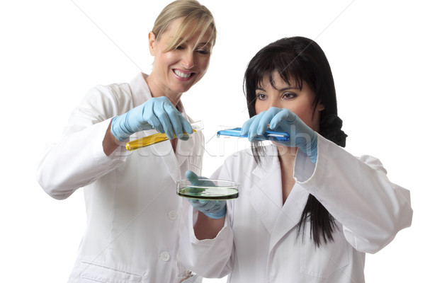 Woman conducting laboratory research Stock photo © lovleah
