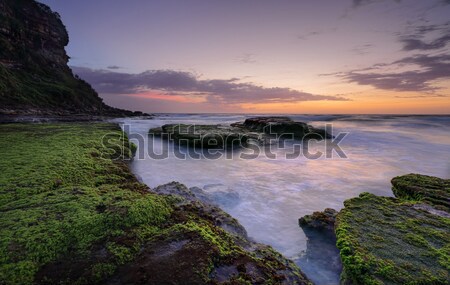 Bungan Beach Australia Stock photo © lovleah