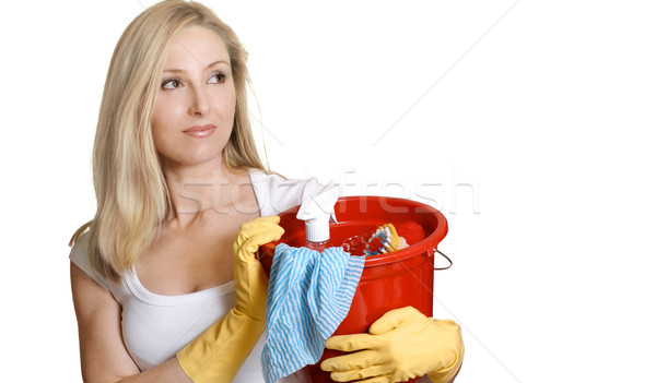 Házimunka fiatal felnőtt nő kész takarítás hordoz Stock fotó © lovleah
