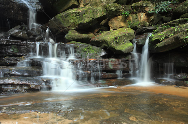 Waterfall Somersby Falls Australia Stock photo © lovleah