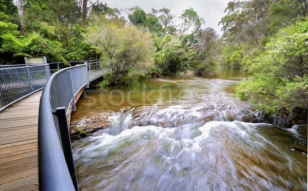 Fast flowing water at the approach to Fitzroy Falls Australia Stock photo © lovleah